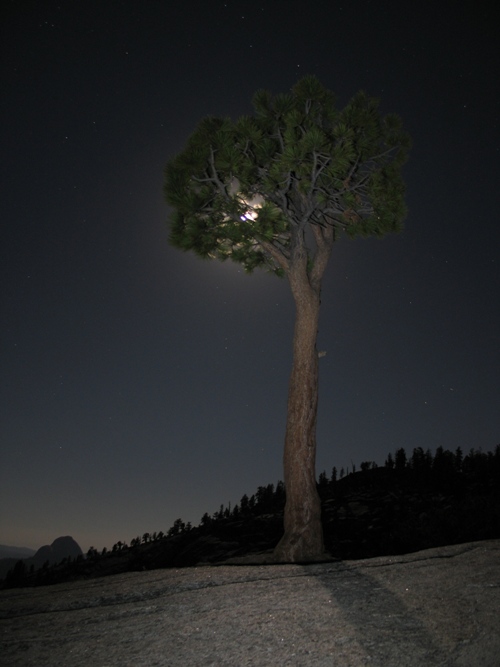 Půlnoc v Yosemitech s Měsícem v úplňku